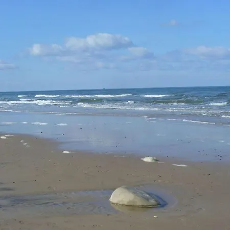 Seewind Comfortable *